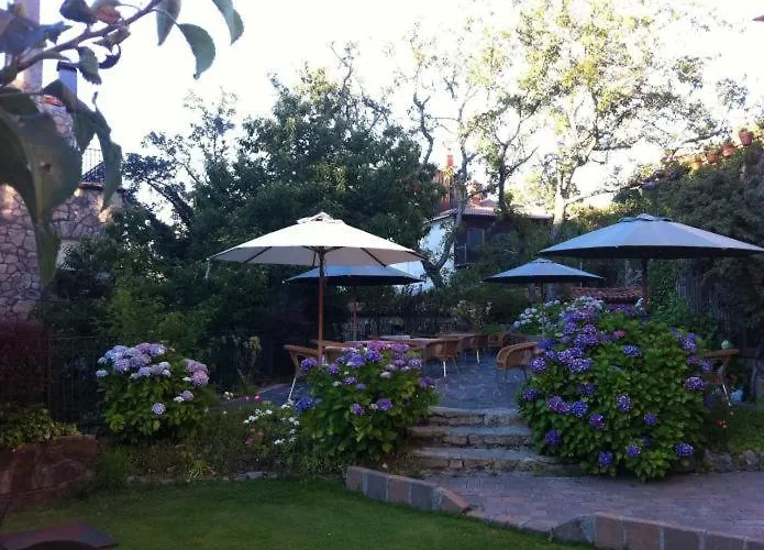 酒店 多纳特瑞萨酒店